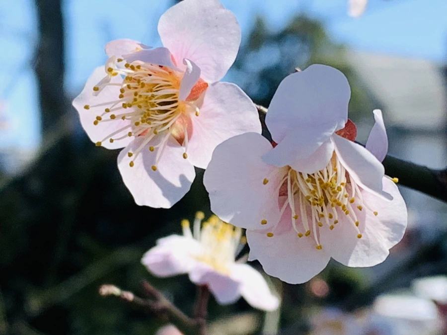 IMG_1344.jpg?type=w966