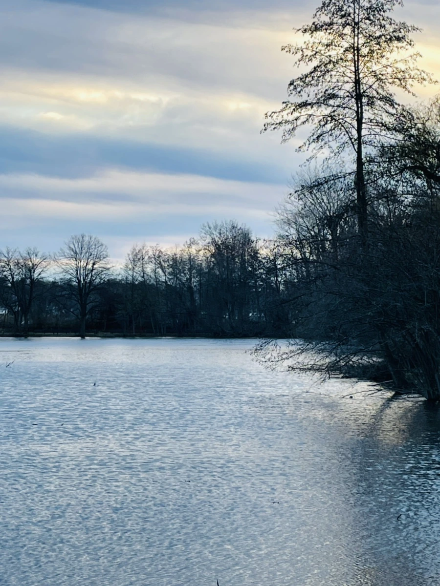 IMG_6666.jpg?type=w966