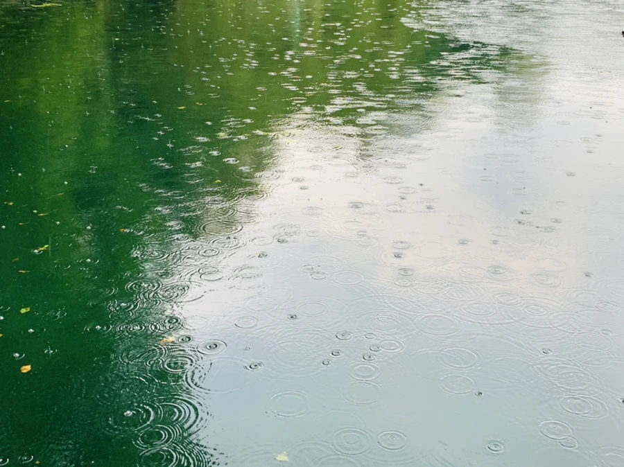 IMG_1727.jpg?type=w966