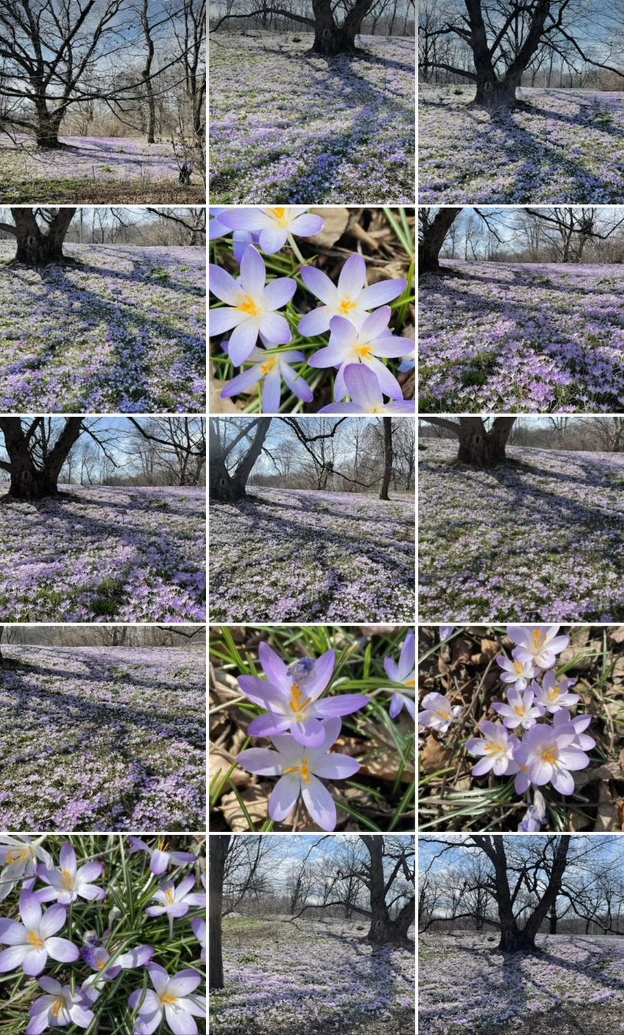 IMG_5418.jpg?type=w966