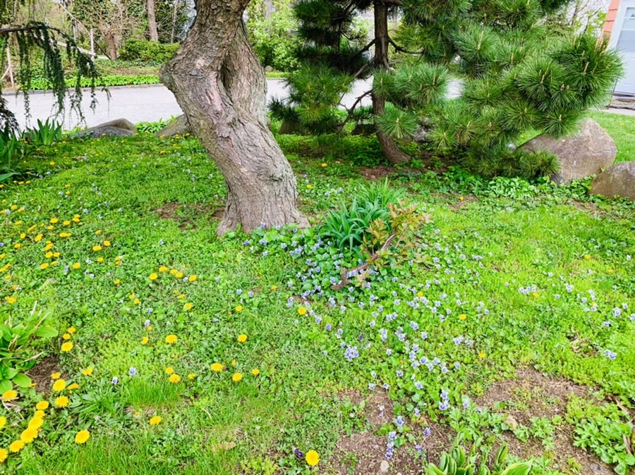 IMG_3953.jpg?type=w966