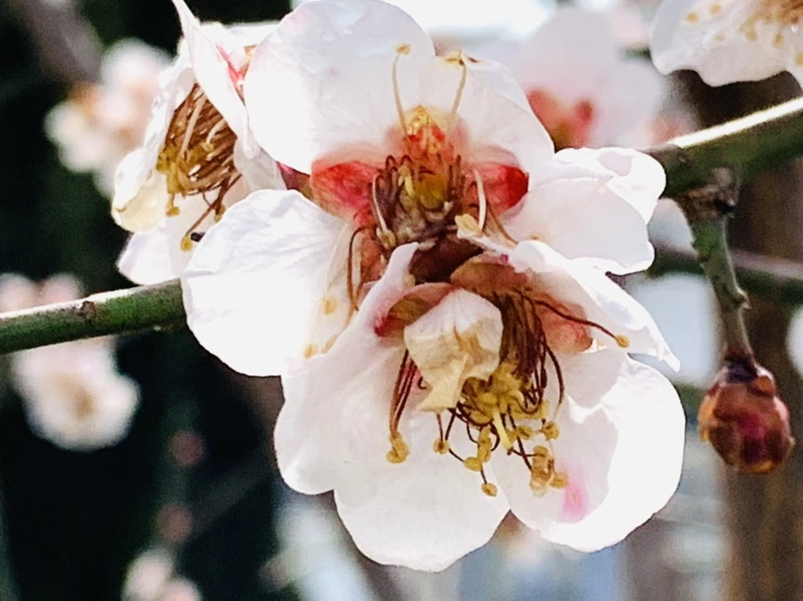 IMG_3980.jpg?type=w966