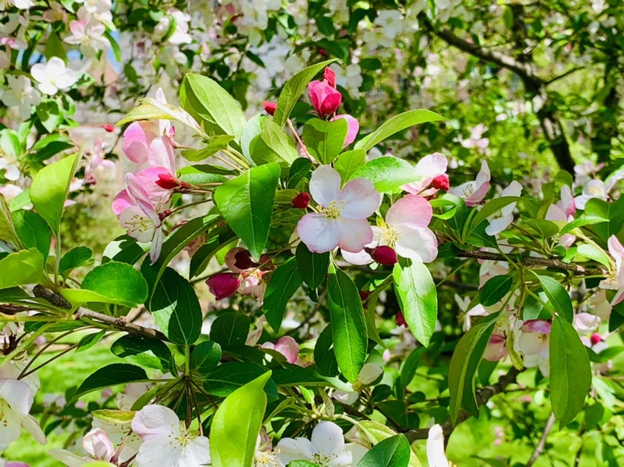 IMG_5720.jpg?type=w966