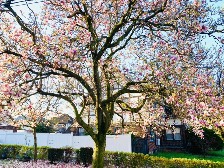 IMG_2426.jpg?type=w966