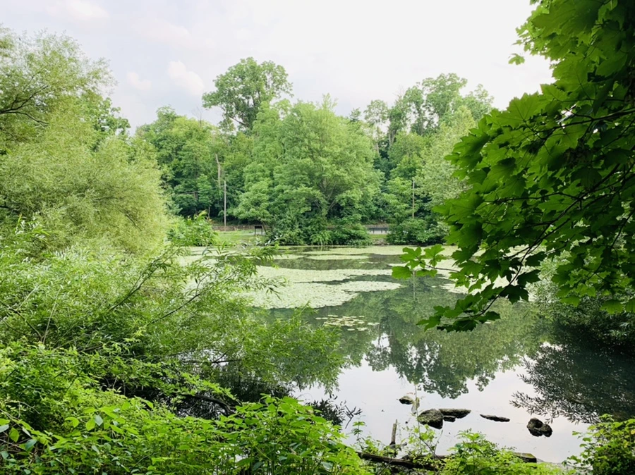 IMG_1473.jpg?type=w966