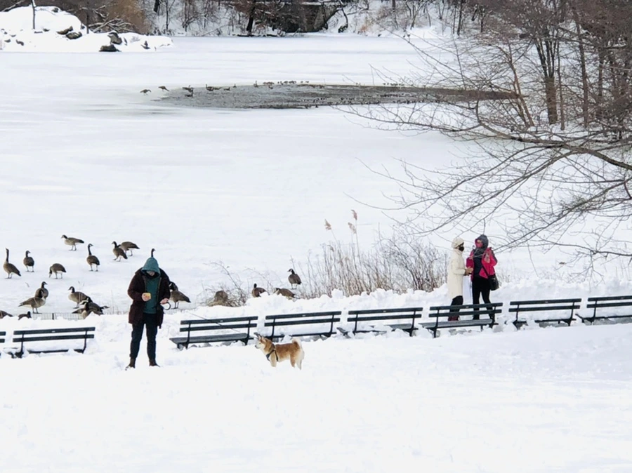 IMG_9503.jpg?type=w966