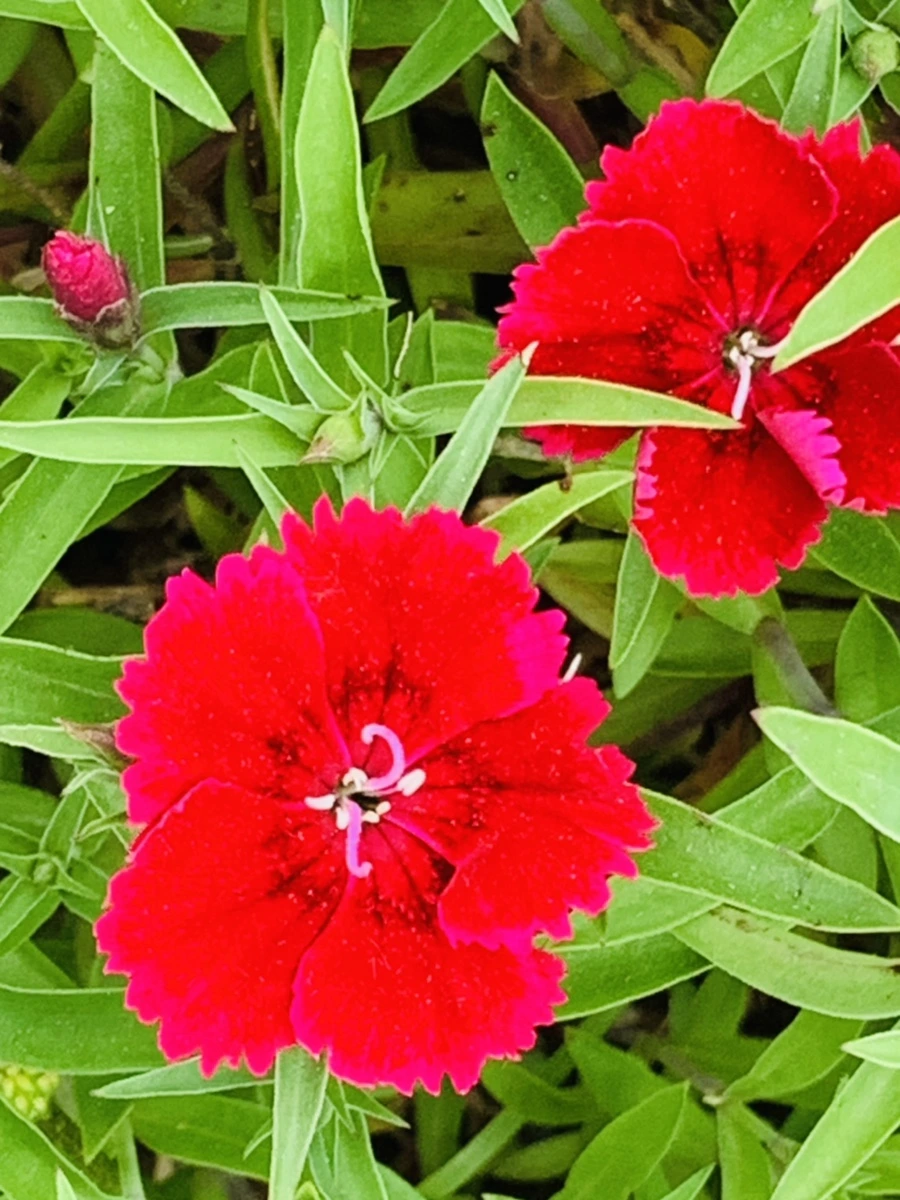 IMG_9024.jpg?type=w966