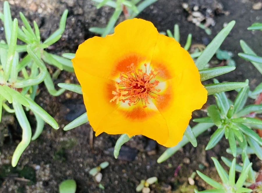 IMG_8415.jpg?type=w966