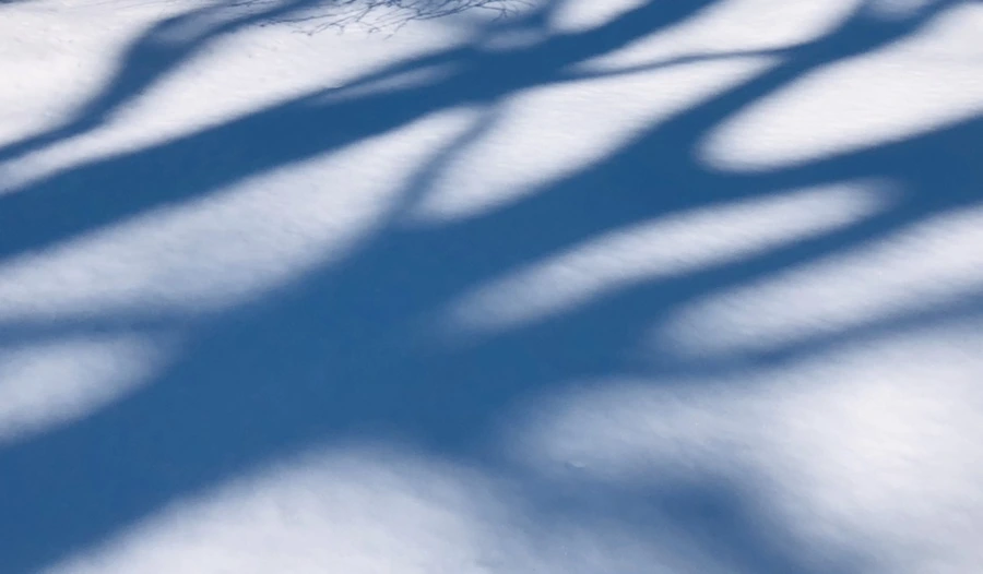 IMG_3994.jpg?type=w966