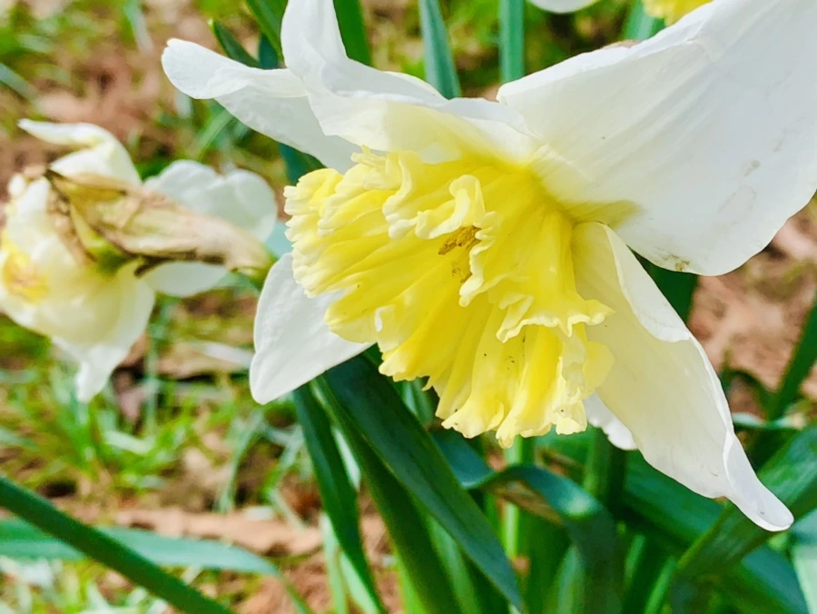 IMG_6353.jpg?type=w966