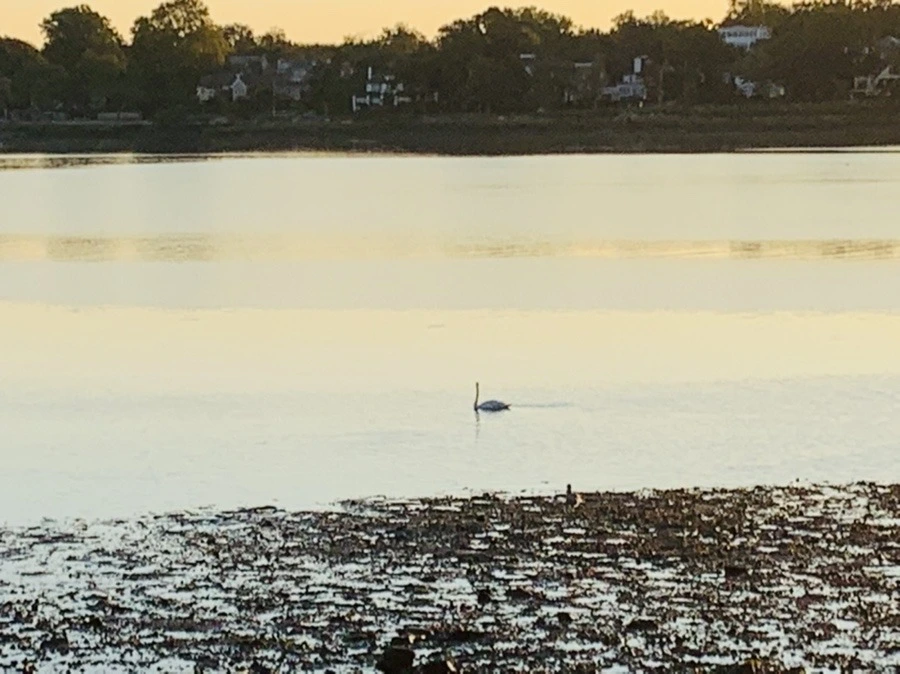 vJ9SlDkJ9hW9OcMztfb_7VK9OtM