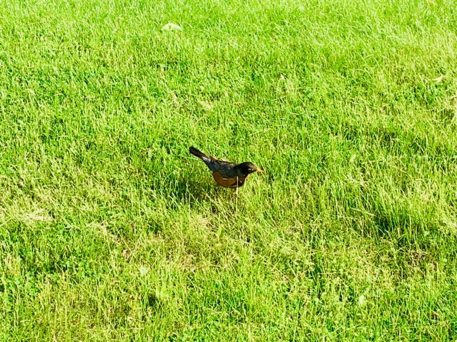 IMG_1123.jpg?type=w966