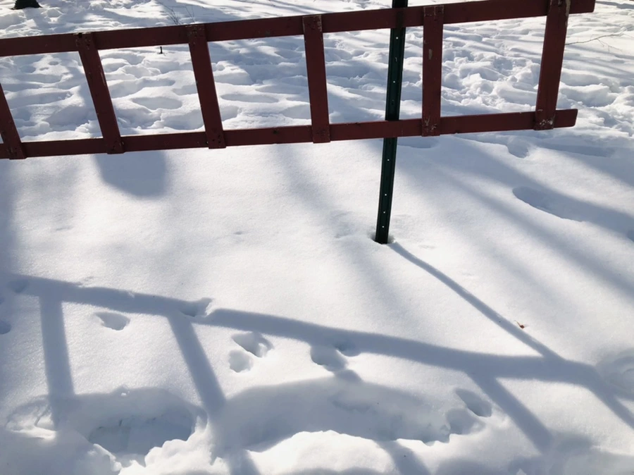 IMG_0133.jpg?type=w966