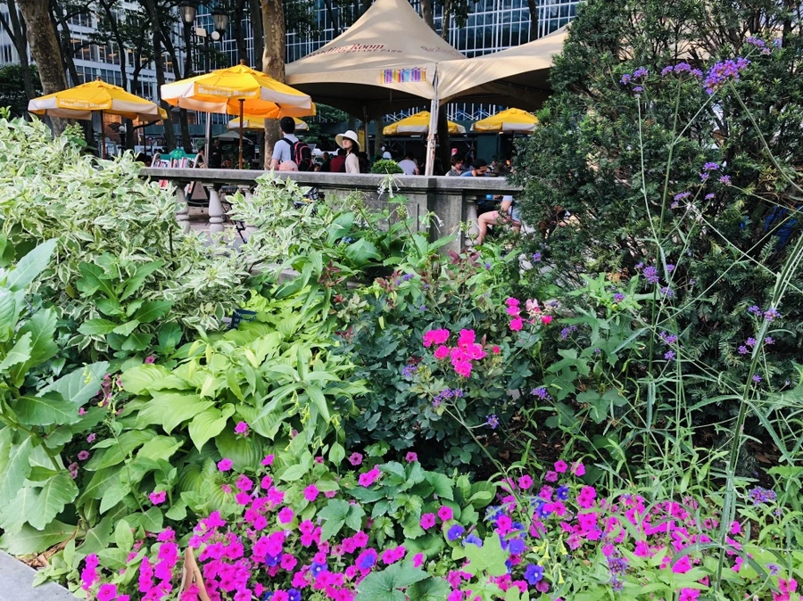 IMG_7101.jpg?type=w966