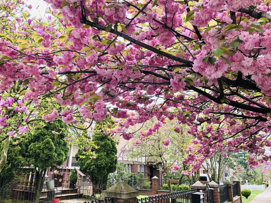 IMG_3943.jpg?type=w966