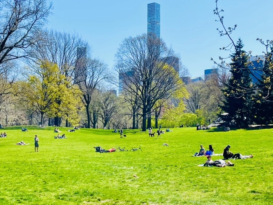 IMG_0663.jpg?type=w966