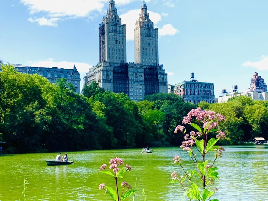 IMG_4471.jpg?type=w966