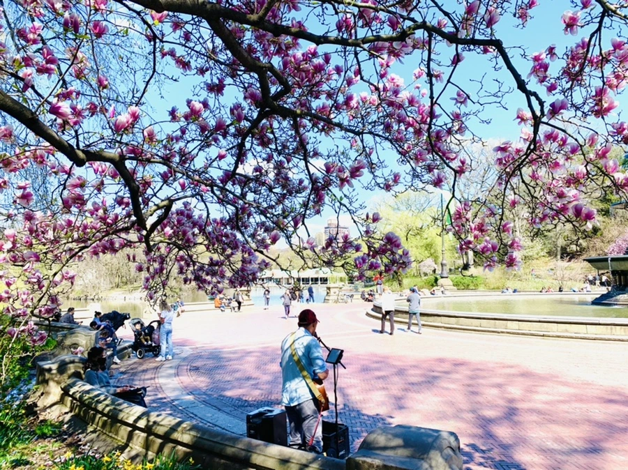 IMG_1748.jpg?type=w966