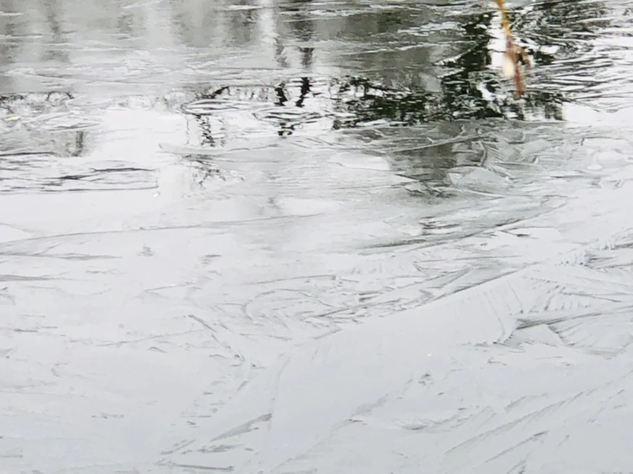 IMG_8977.jpg?type=w966