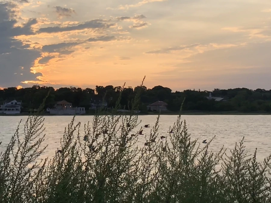 IMG_1734.jpg?type=w966