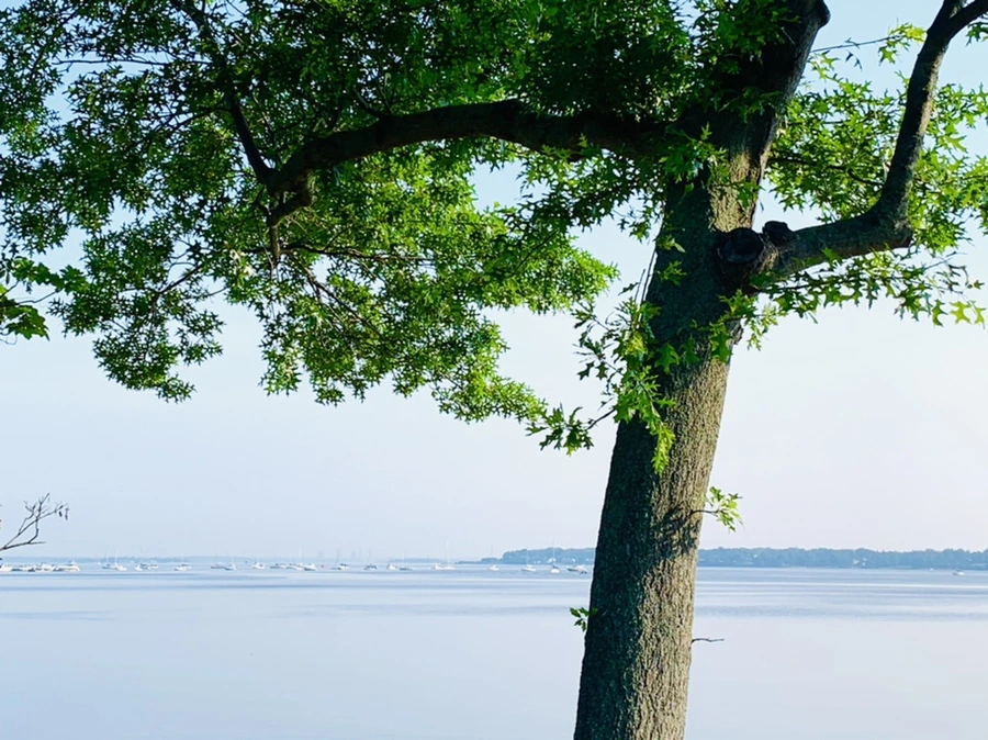 IMG_2063.jpg?type=w966