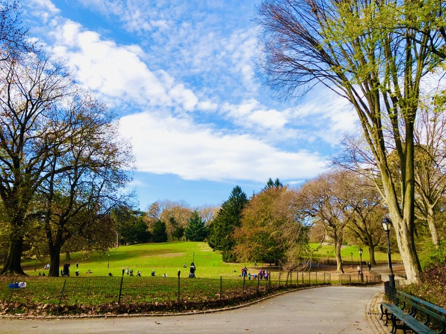 IMG_4970.jpg?type=w966