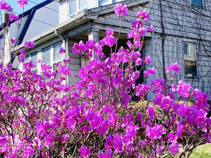 IMG_5509.jpg?type=w966