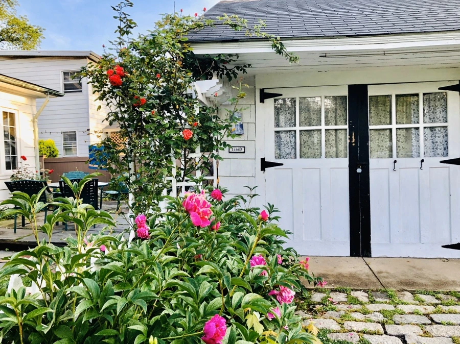 IMG_8229.jpg?type=w966