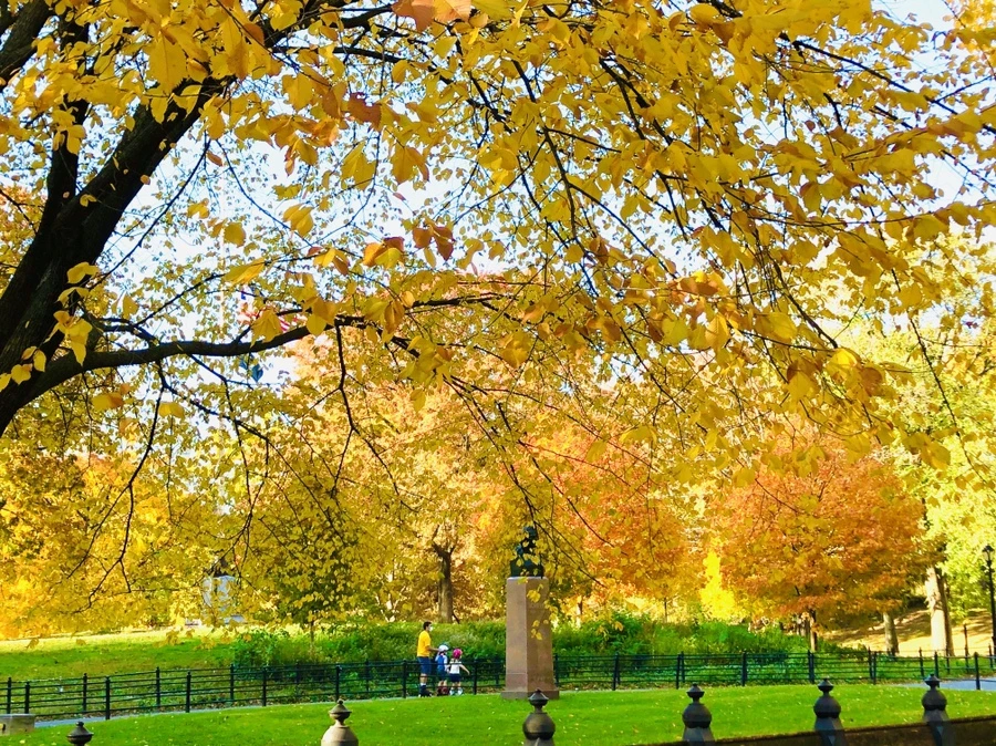 IMG_3507.jpg?type=w966