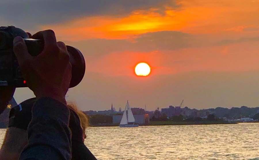 IMG_8768.jpg?type=w966