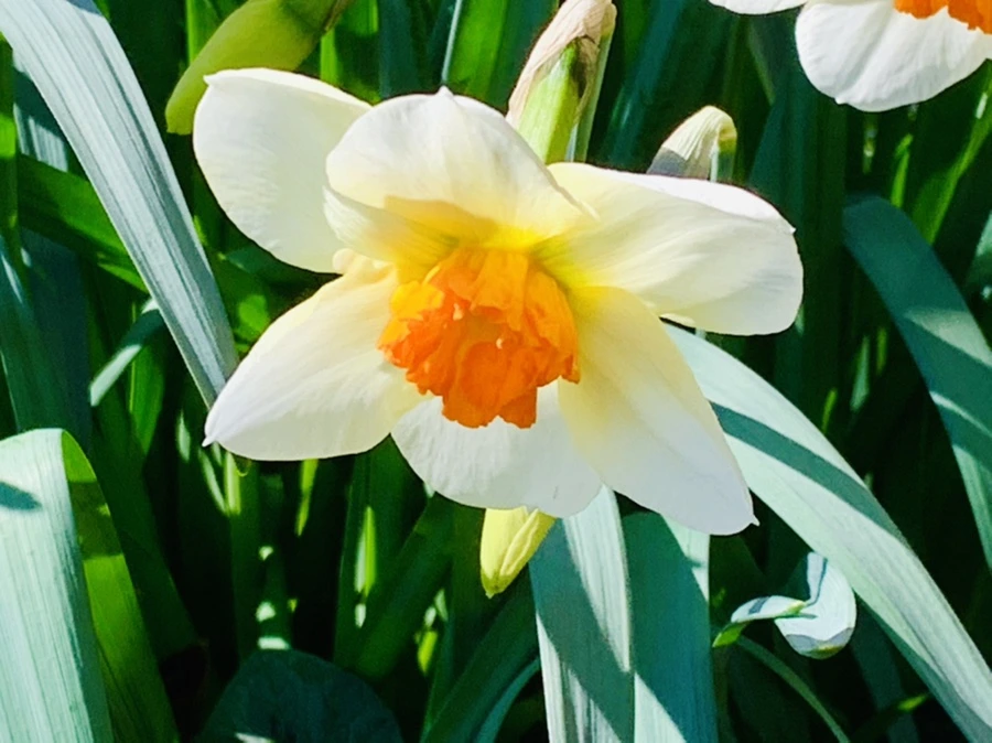 IMG_5803.jpg?type=w966