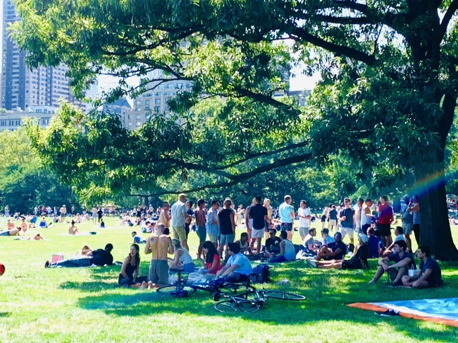 IMG_4400.jpg?type=w966