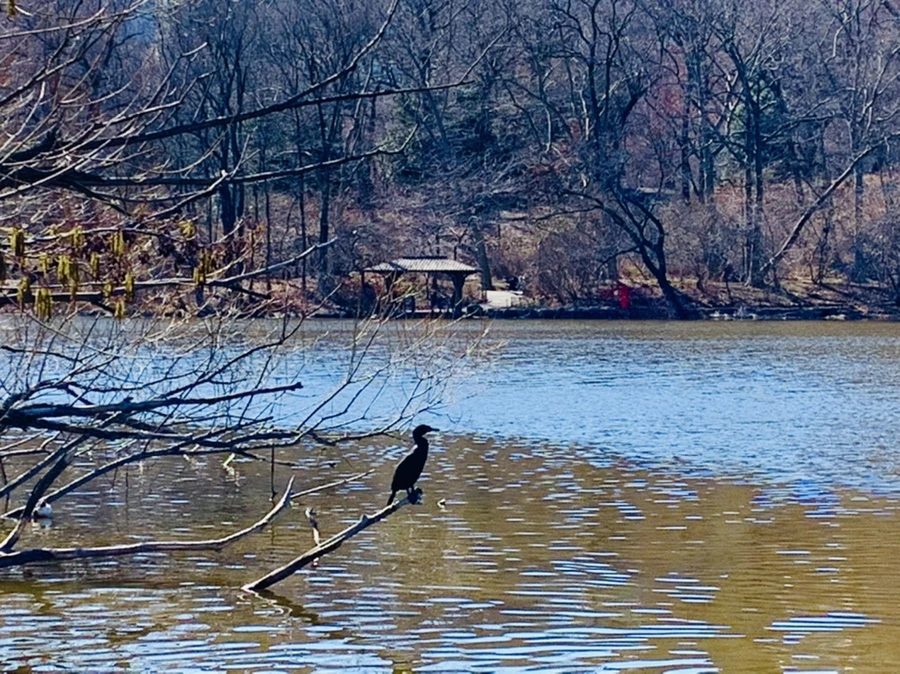 IMG_0717.jpg?type=w966