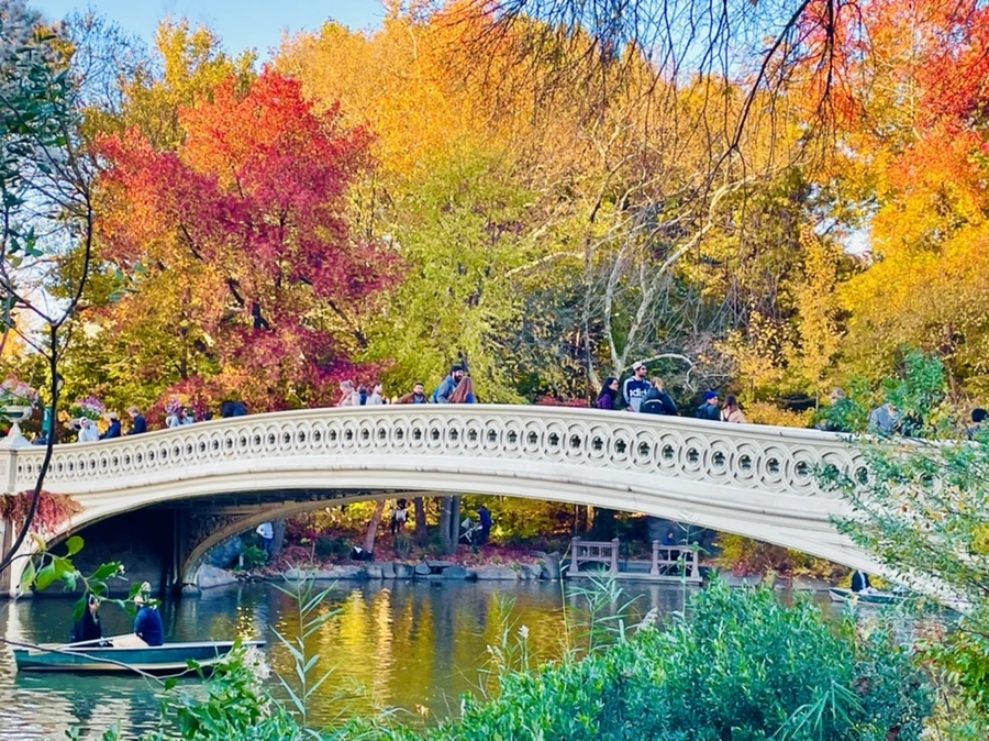 IMG_1433.jpg?type=w966