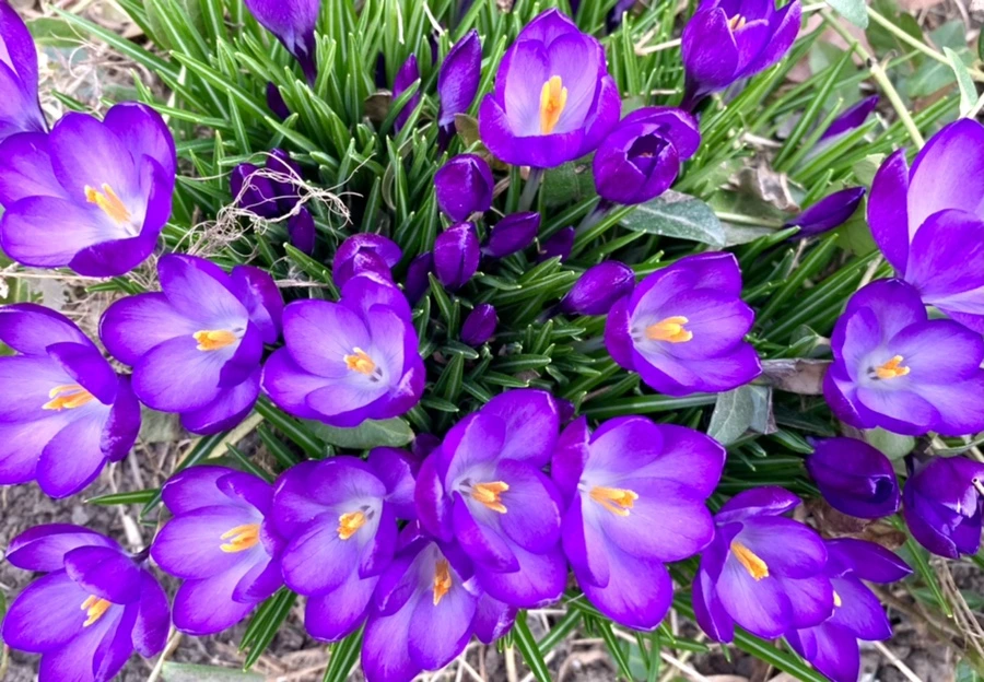 IMG_1058.jpg?type=w966