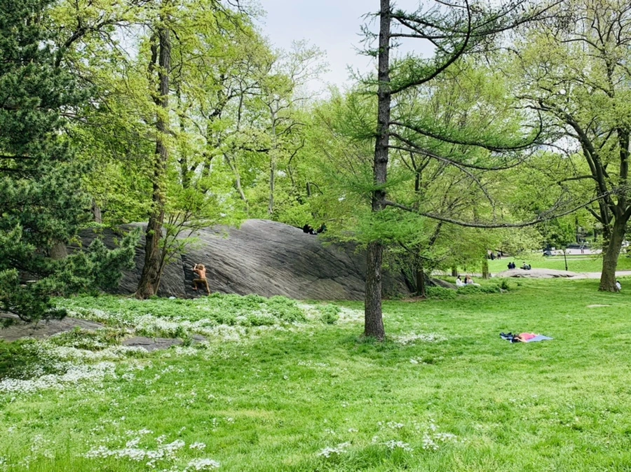 IMG_8762.jpg?type=w966