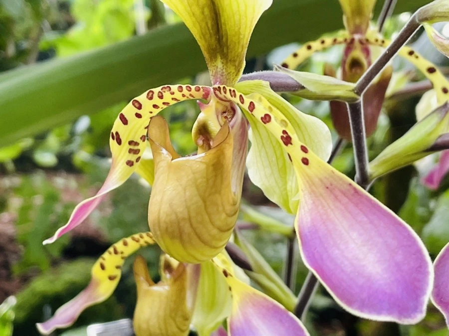 IMG_4473.jpg?type=w966