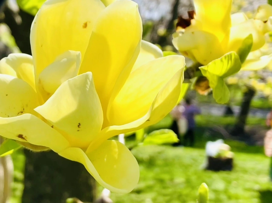 IMG_2027.jpg?type=w966