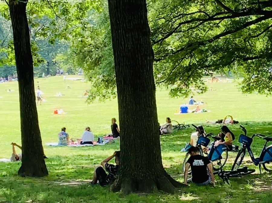 IMG_4977.jpg?type=w966