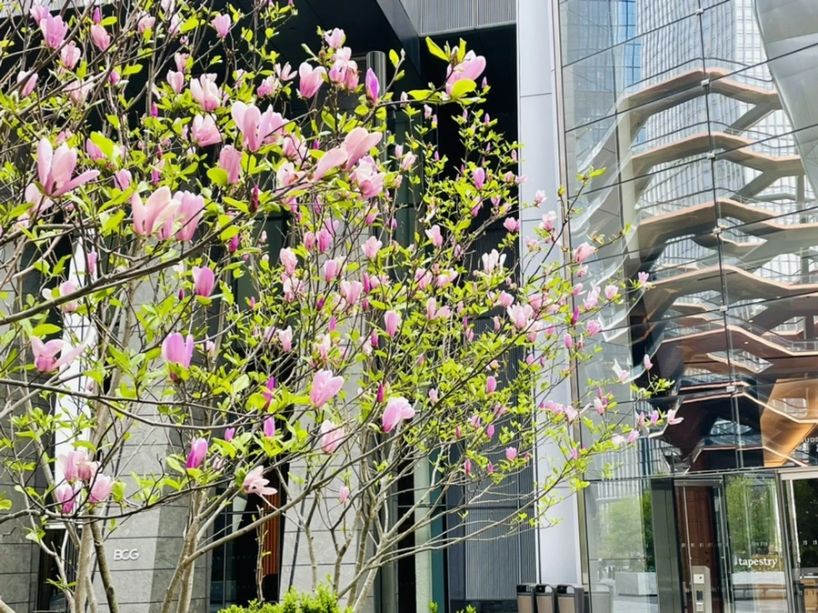 IMG_2597.jpg?type=w966