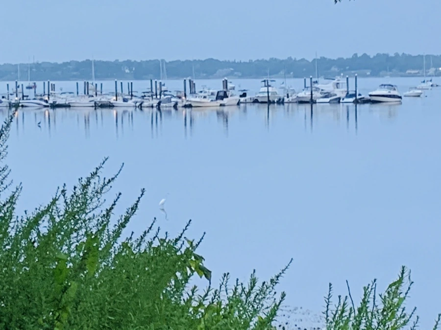 IMG_0132.jpg?type=w966