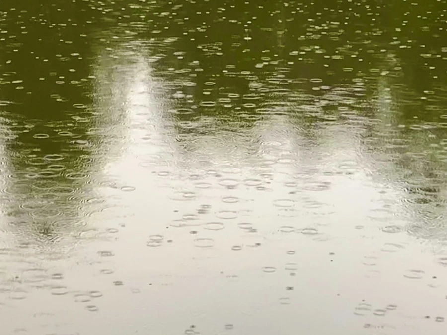 IMG_8304.jpg?type=w966