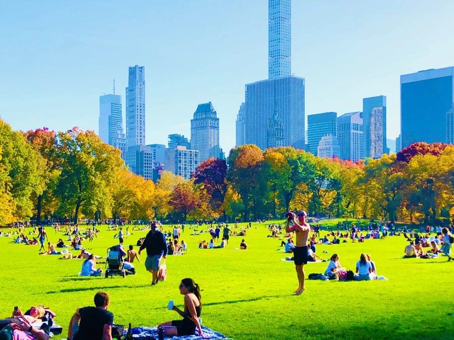 IMG_3952.jpg?type=w966