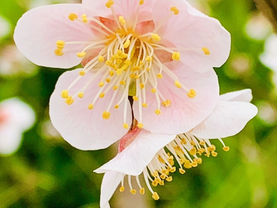 IMG_3636.jpg?type=w966