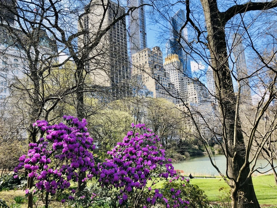 IMG_6775.jpg?type=w966