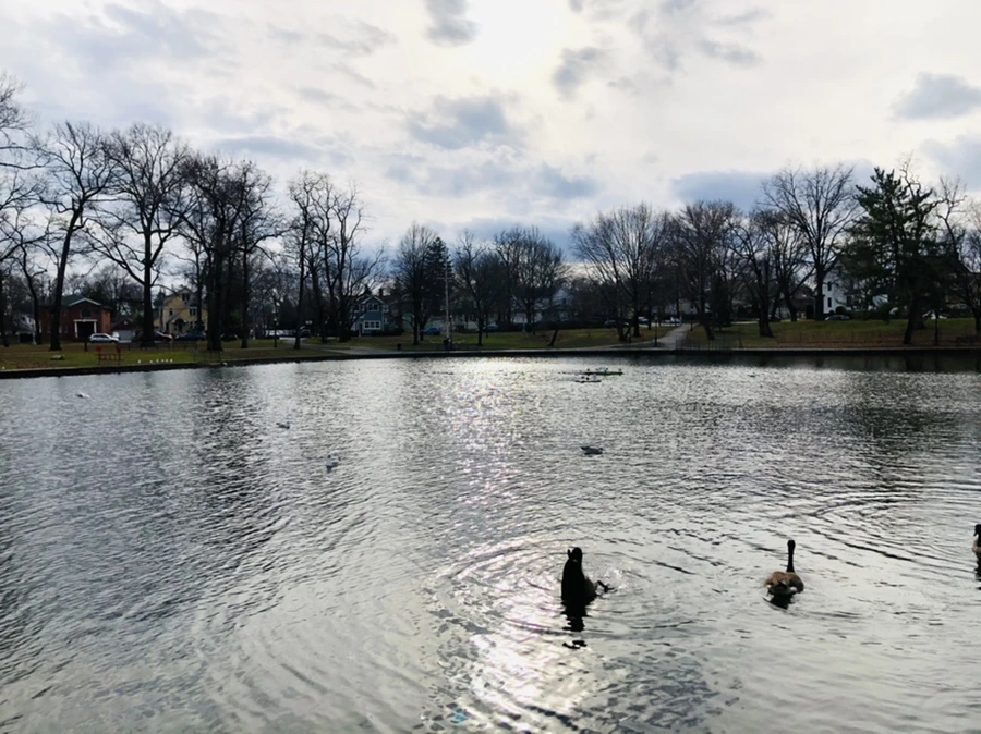 IMG_8713.jpg?type=w966