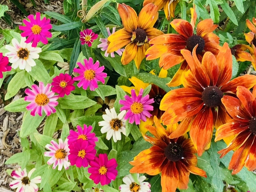 IMG_1248.jpg?type=w966