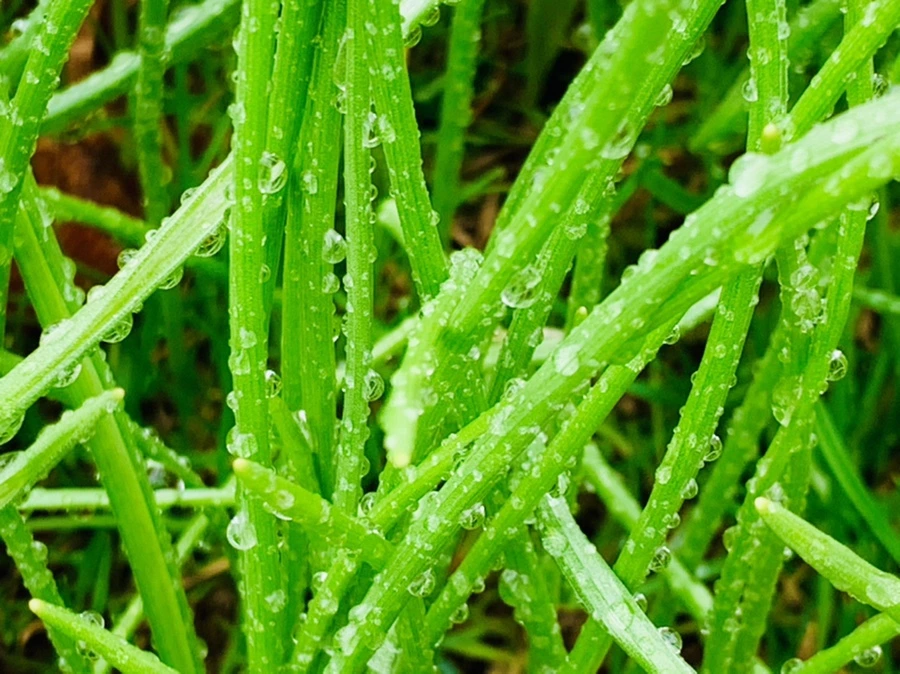 IMG_5038.jpg?type=w966