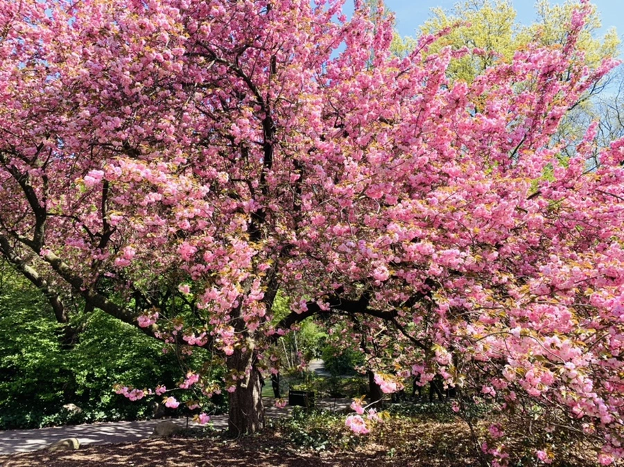 IMG_6382.jpg?type=w966