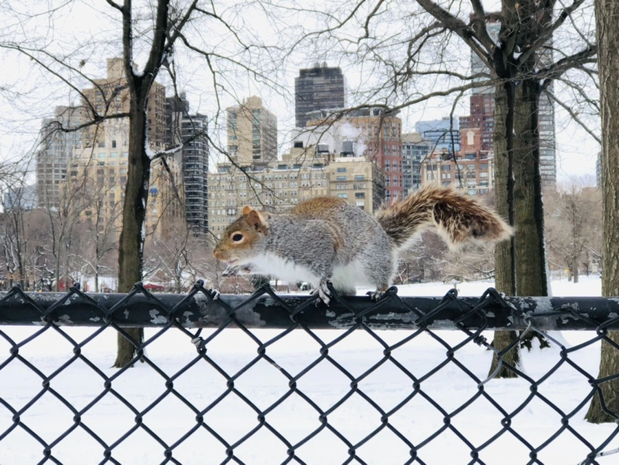 IMG_9254.jpg?type=w966